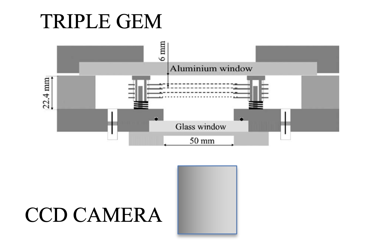 OPTICAL GEM